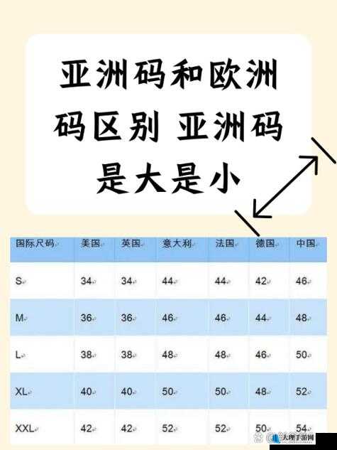 欧美区一码二码三码区别：详细解读其具体差异与特点